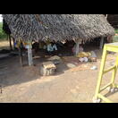 Im letzten Schritt werden die dunklen Häute von den Cashewfrüchten entfernt